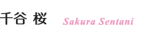 千谷 桜